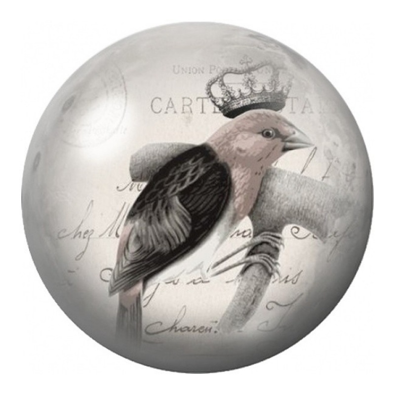Cabochon en Verre Illustré Passereau Couronné Vintage 12 à 25mm