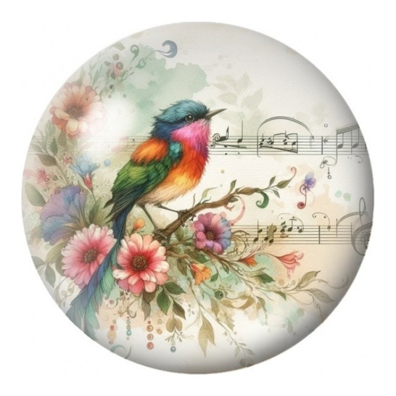 Cabochon en Verre Illustré Passereau Multicolore sur Partition 12 à 25mm
