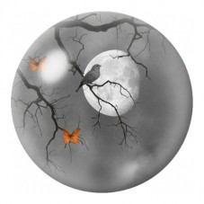Cabochon en Verre Illustré Oiseau de Nuit aux Papillons Orange 12 à 25mm pour la Création de Bijoux Fantaisie - DIY