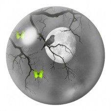 Cabochon en Verre Illustré Oiseau de Nuit aux Papillons Verts 12 à 25mm pour la Création de Bijoux Fantaisie - DIY