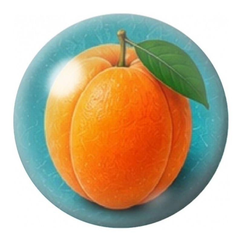 Cabochon en Verre Illustré Abricot Entier 12 à 25mm