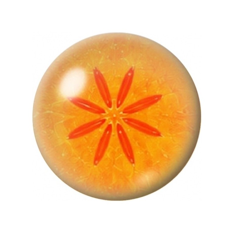 Cabochon en Verre Illustré Tranche de Kaki 12 à 25mm