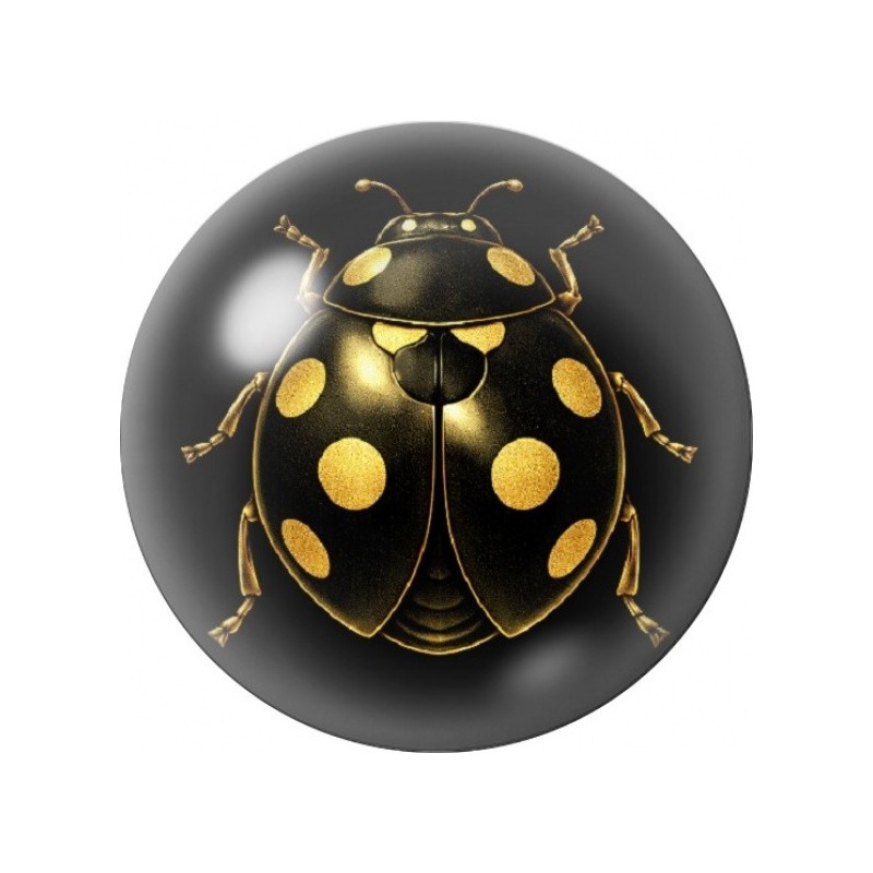 Cabochon en Verre Illustré Coccinelle Noire et Or 12 à 25mm