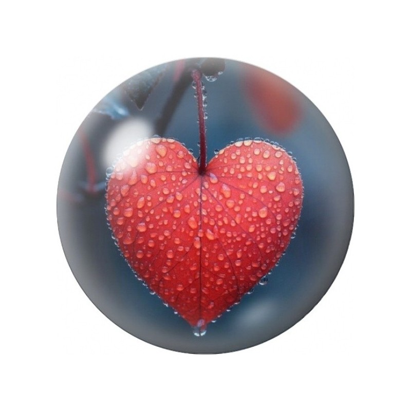 Cabochon en Verre Illustré Feuille en Forme de Cœur 12 à 25mm