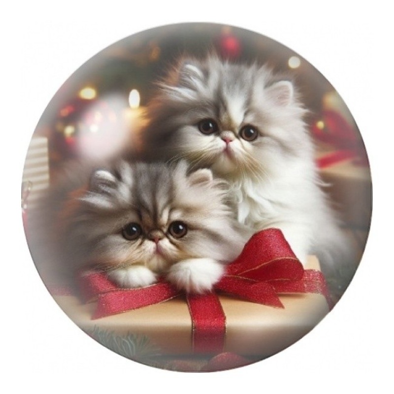 Cabochon en Verre Illustré Chatons dans un Cadeau 12 à 25mm