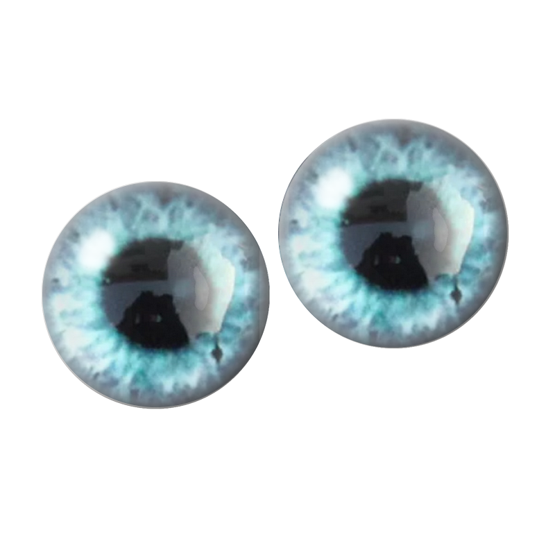 2 Cabochons en Verre Illustré Iris Bleu 10mm