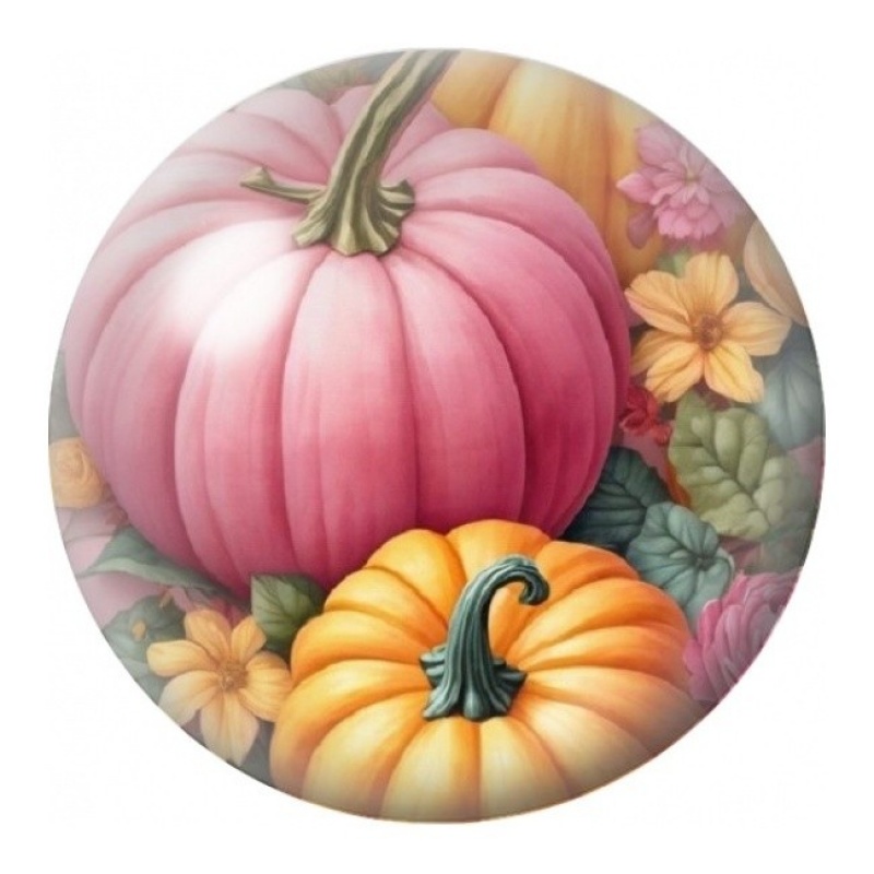 Cabochon en Verre Illustré Citrouilles Roses et Orange 12 à 25mm