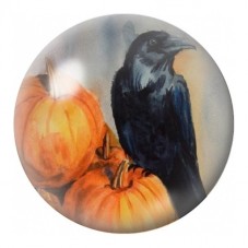 Cabochon en Verre Illustré Corbeau sur une Citrouille 12 à 25mm pour la Création de Bijoux Fantaisie - DIY