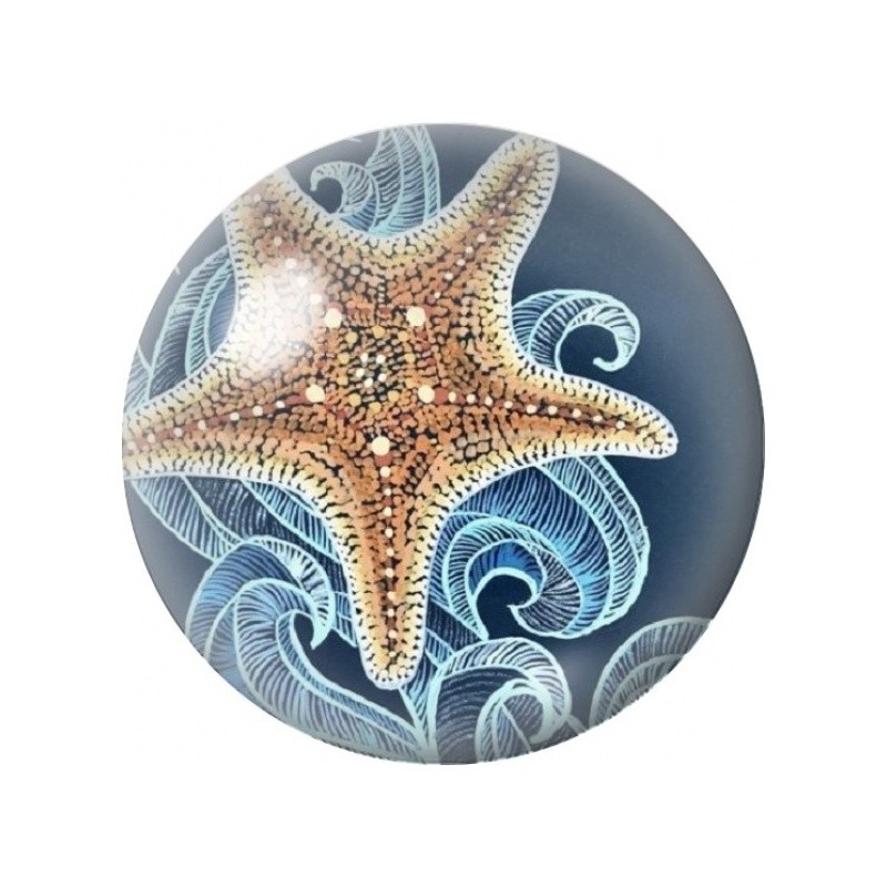 Cabochon en Verre Illustré Étoile de Mer sur Fond Bleu 12 à 25mm