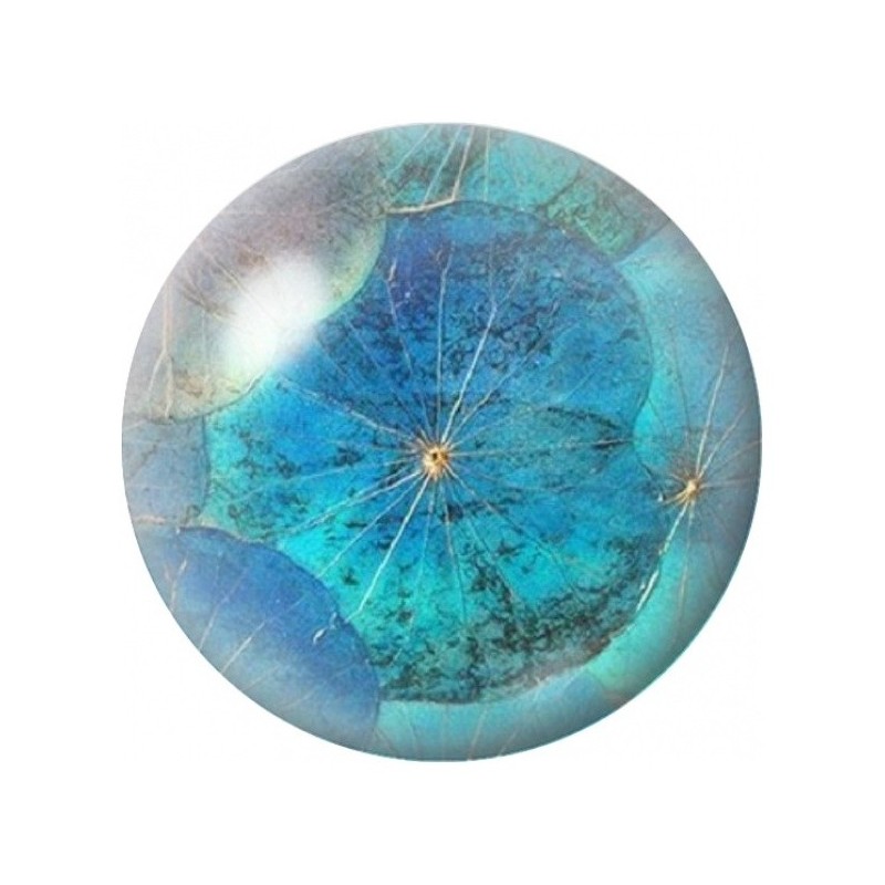 Cabochon en Verre Illustré Feuille Bleue sur Lagon Turquoise 12 à 25mm