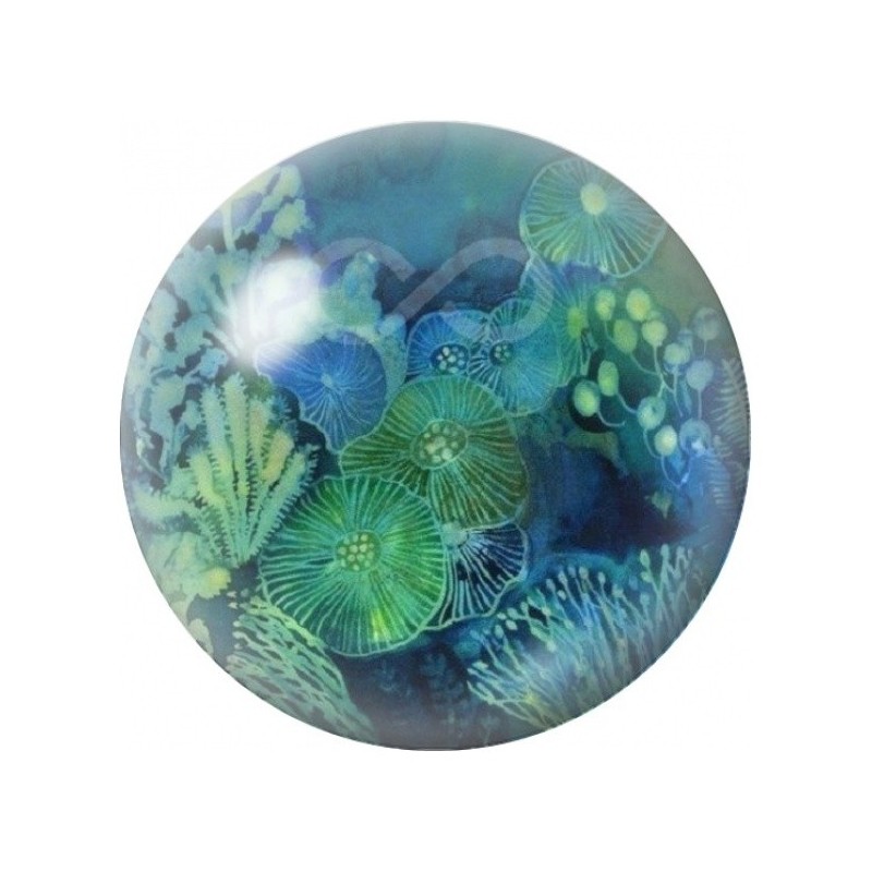 Cabochon en Verre Illustré Herbier Marin Bleu et Vert 12 à 25mm