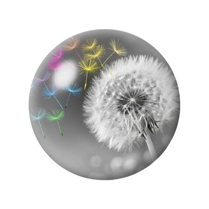 Cabochon en Verre Illustré Pissenlit et Papillons Colorés 12 à 25mm