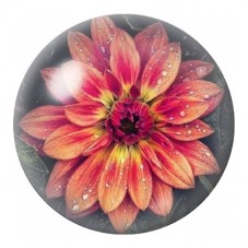 Cabochon en Verre Illustré Dahlia Orange sur Fond Sombre 12 à 25mm pour la Création de Bijoux Fantaisie - DIY
