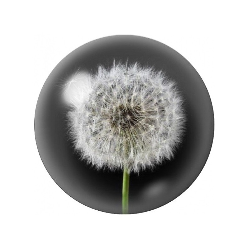 Cabochon en Verre Illustré Pissenlit Blanc sur Fond Noir 12 à 25mm