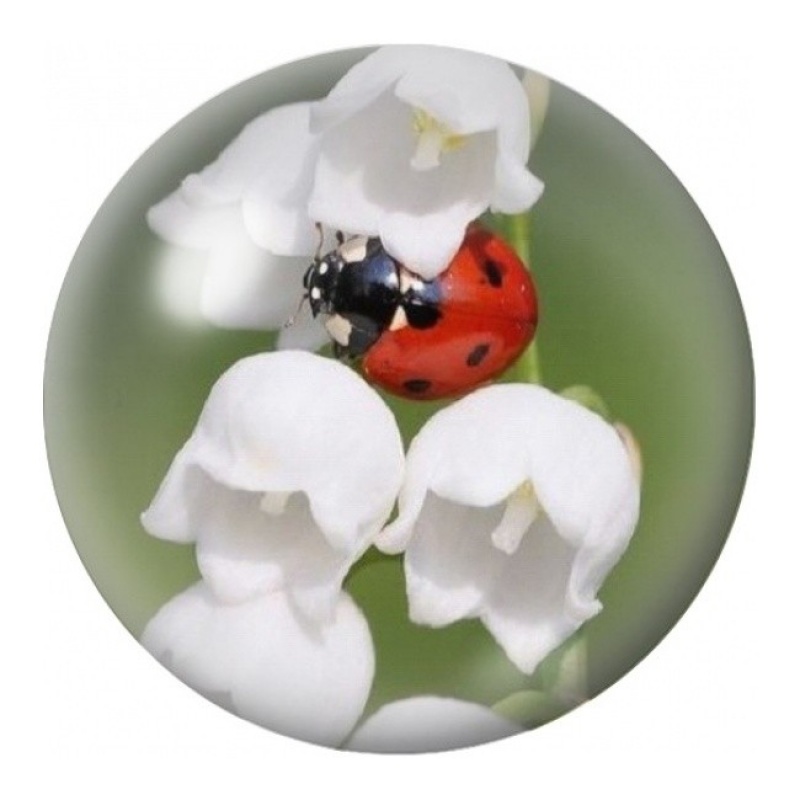 Cabochon en Verre Illustré Coccinelle sur Muguet Blanc 12 à 25mm