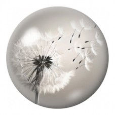 Cabochon en Verre Illustré Pissenlit et Graines au Vent 12 à 25mm pour la Création de Bijoux Fantaisie - DIY