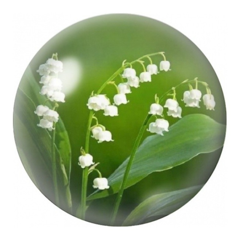 Cabochon en Verre Illustré Brins de Muguet 12 à 25mm
