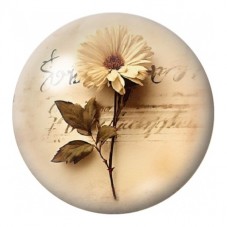 Cabochon en Verre Illustré Marguerite sur Écriture Vintage 12 à 25mm pour la Création de Bijoux Fantaisie - DIY