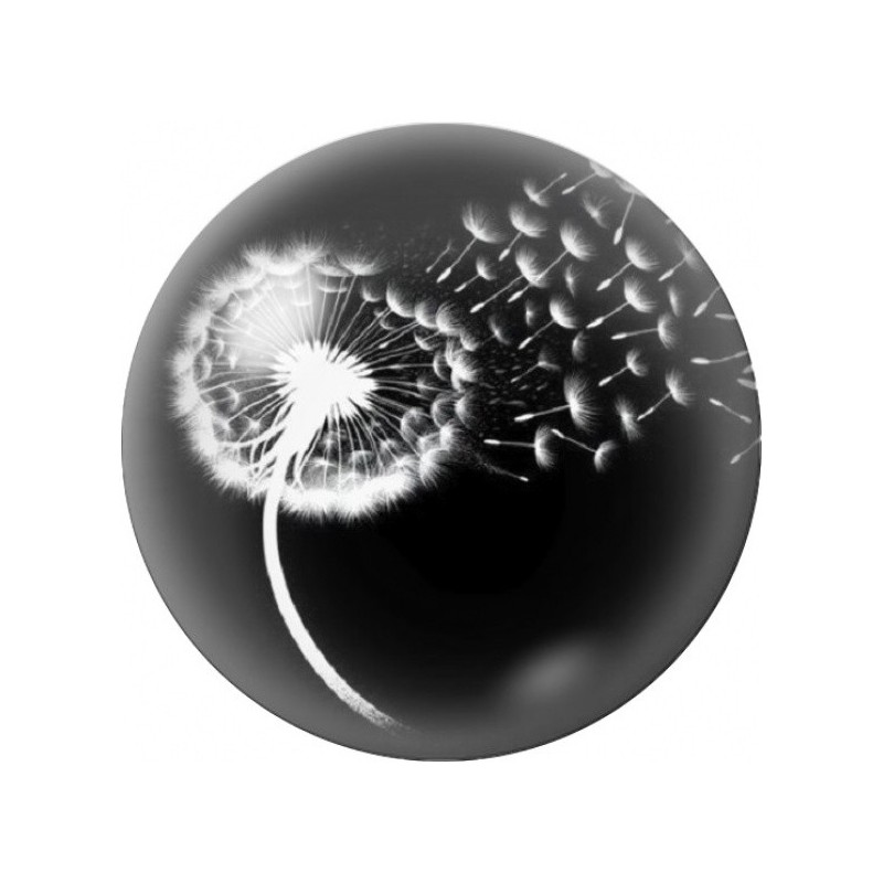 Cabochon en Verre Illustré Pissenlit Blanc sur Fond Noir 12 à 25mm