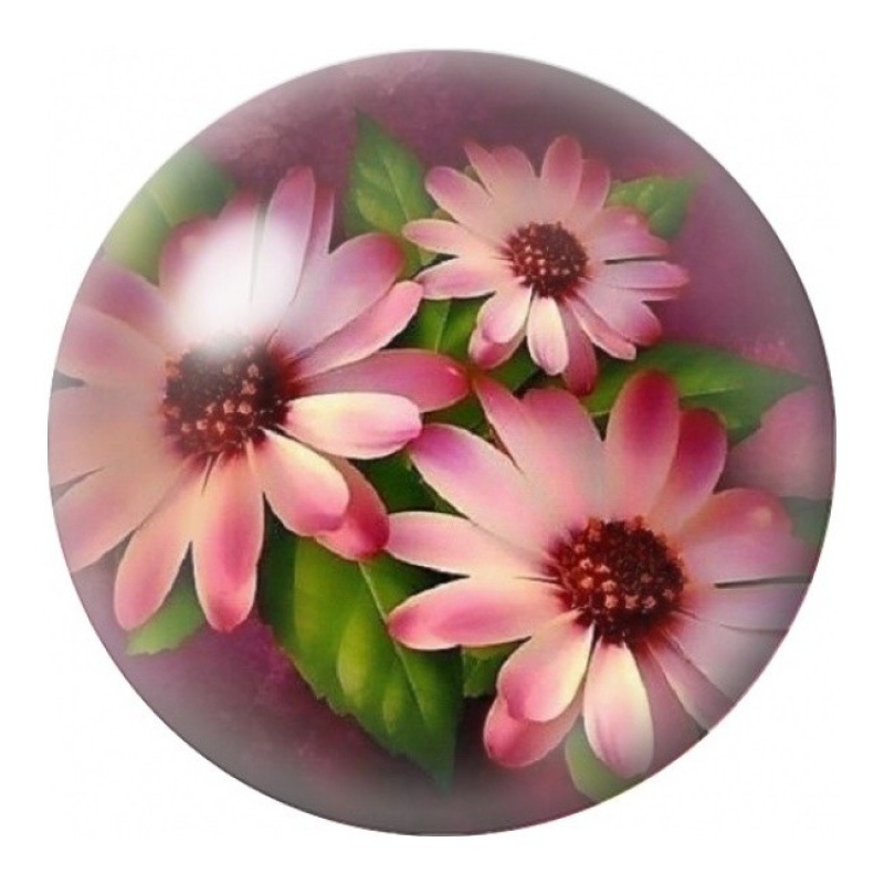 Cabochon en Verre Illustré Marguerites Roses 12 à 25mm