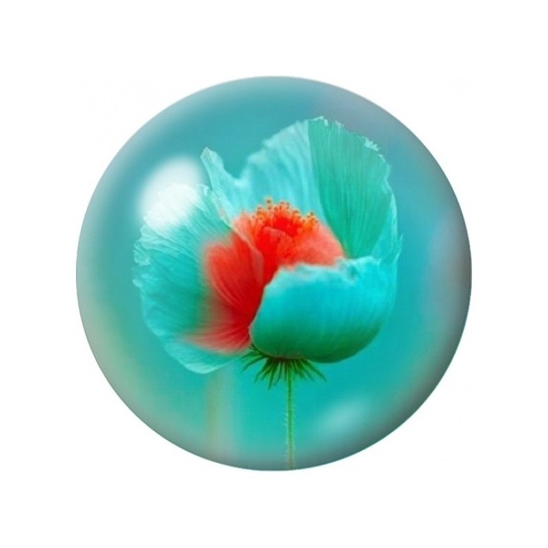 Cabochon en Verre Illustré Coquelicot Turquoise au Cœur Rouge 12 à 25mm