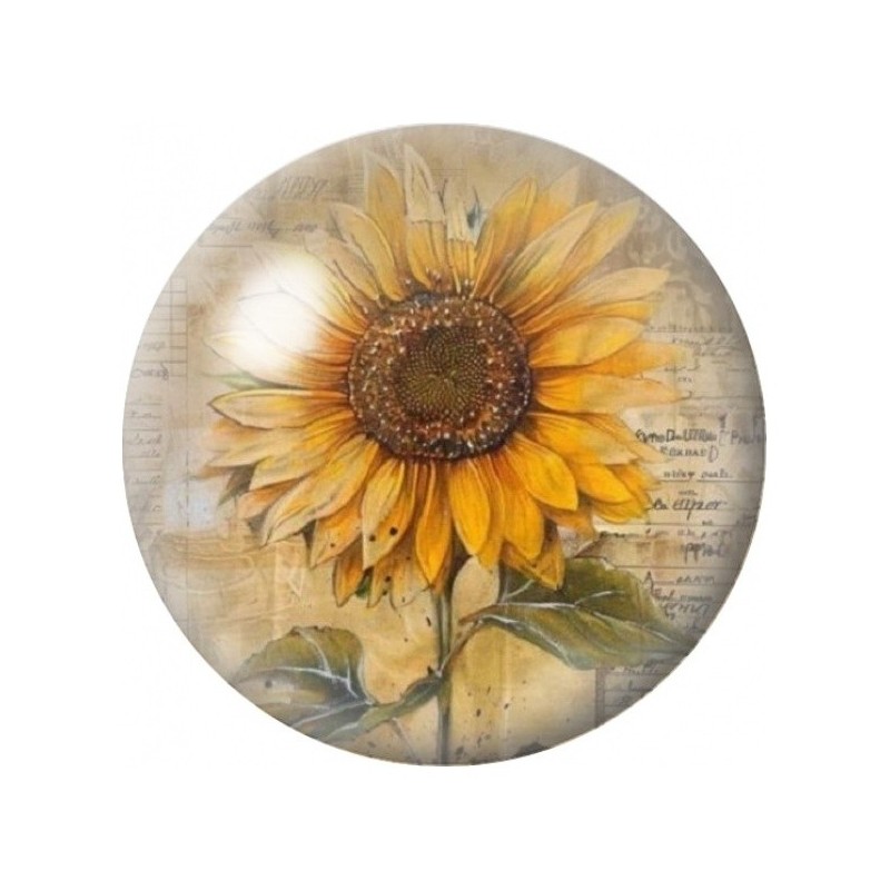 Cabochon en Verre Illustré Tournesol sur Écriture Vintage 12 à 25mm