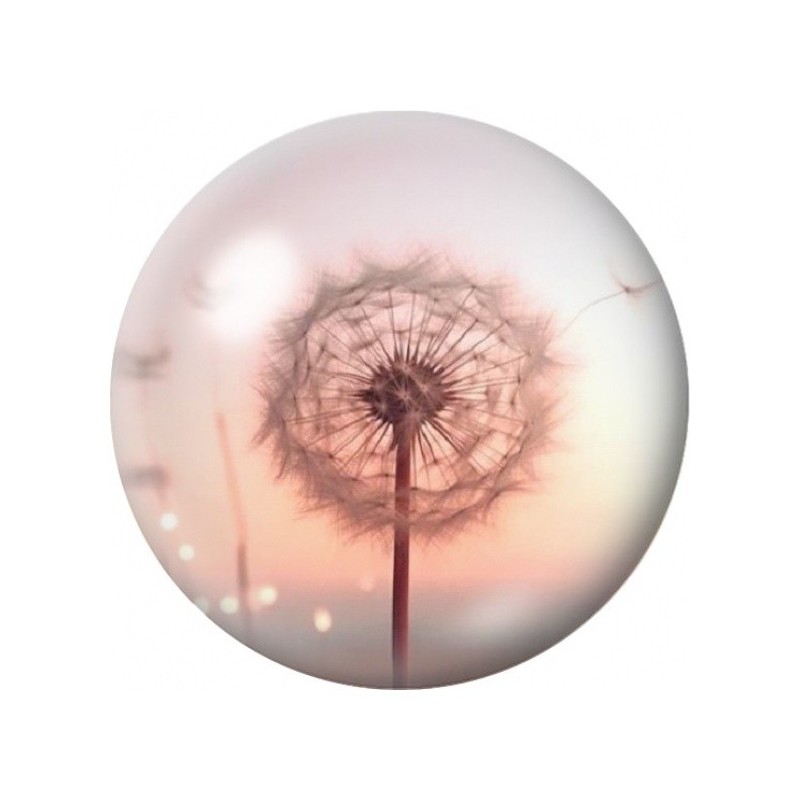 Cabochon en Verre Illustré Pissenlit dans la Lumière Rose 12 à 25mm