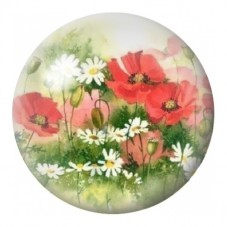 Cabochon en Verre Illustré Prairie de Coquelicots et Marguerites 12 à 25mm pour la Création de Bijoux Fantaisie - DIY