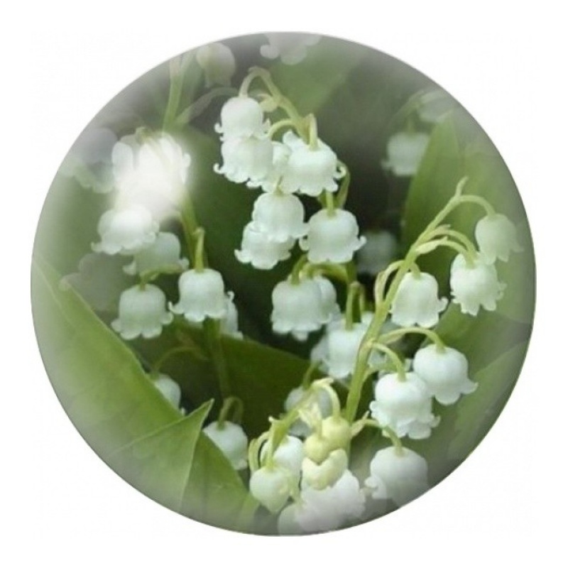 Cabochon en Verre Illustré Muguet Blanc 12 à 25mm