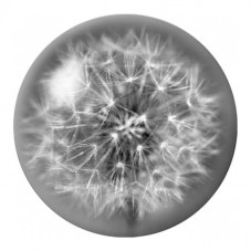Cabochon en Verre Illustré Pissenlit Noir et Blanc 12 à 25mm pour la Création de Bijoux Fantaisie - DIY
