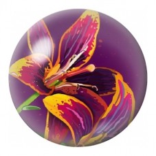 Cabochon en Verre Illustré Iris Pourpre Graphique 12 à 25mm pour la Création de Bijoux Fantaisie - DIY