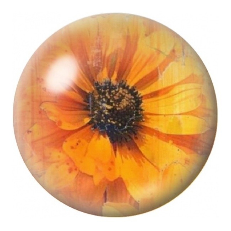 Cabochon en Verre Illustré Fleur Orange Lumineuse 12 à 25mm