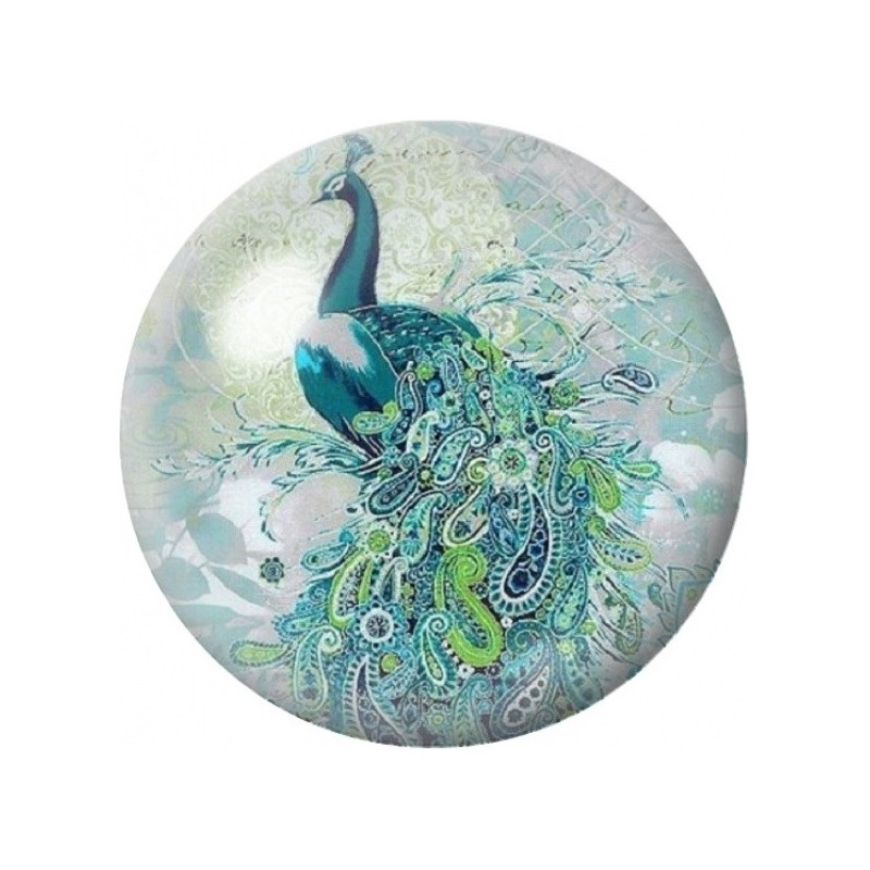 Cabochon en Verre Illustré Paon Turquoise sur Fond Dentelle 12 à 25mm