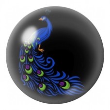 Cabochon en Verre Illustré Paon Bleu Lumineux sur Fond Noir 12 à 25mm pour la Création de Bijoux Fantaisie - DIY