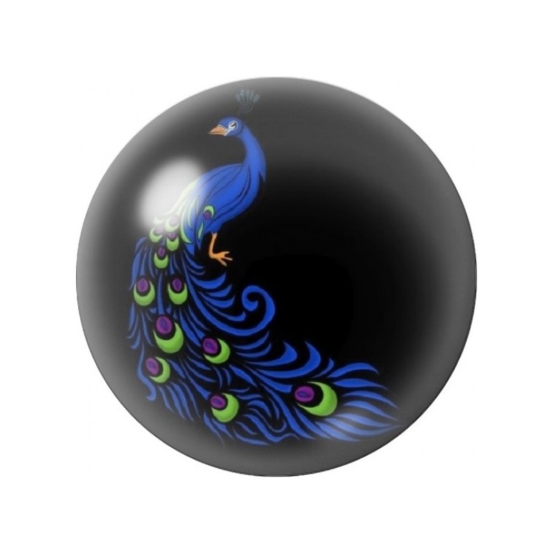 Cabochon en Verre Illustré Paon Bleu Lumineux sur Fond Noir 12 à 25mm