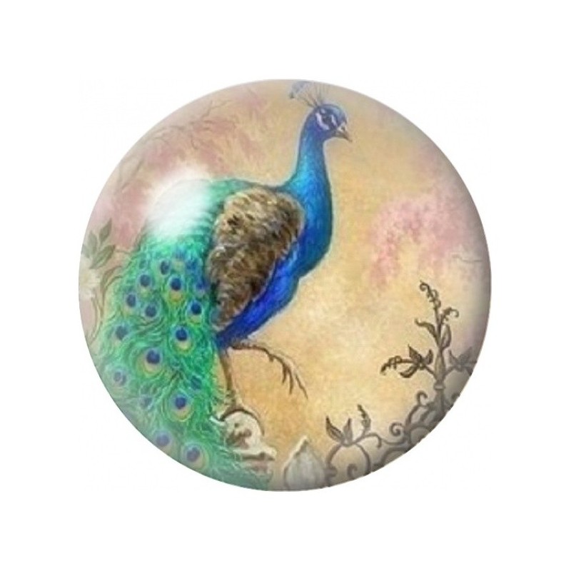 Cabochon en Verre Illustré Paon Vintage sur Fond Beige 12 à 25mm