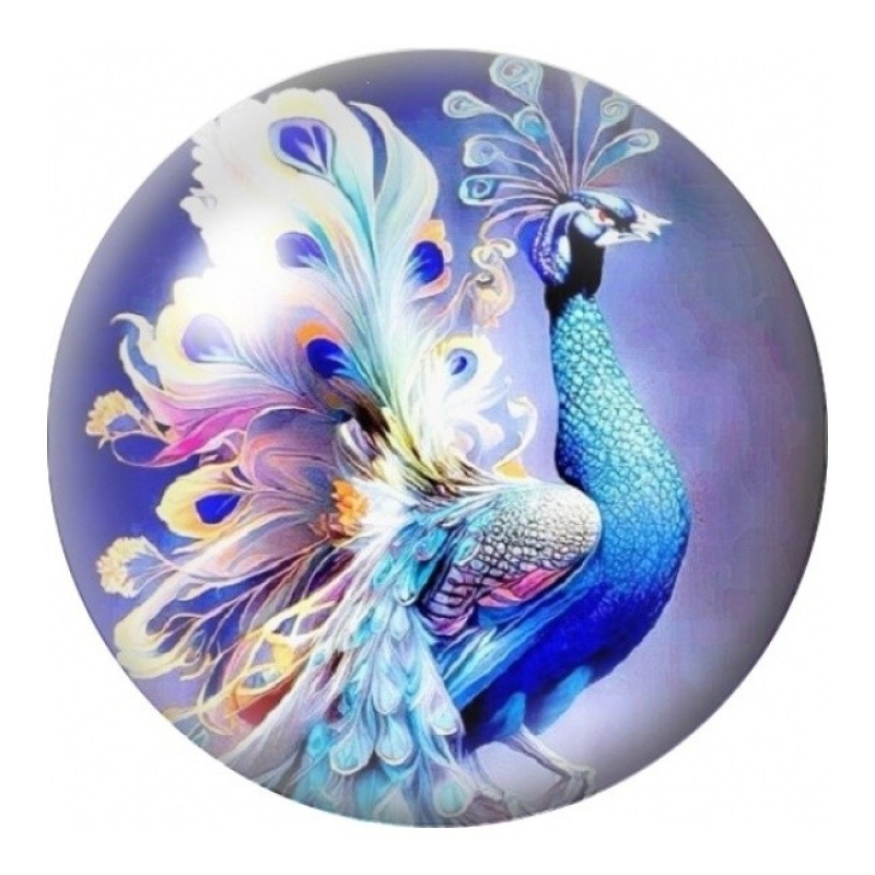 Cabochon en Verre Illustré Paon Blanc Fantastique 12 à 25mm
