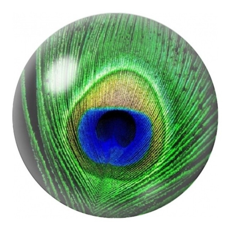 Cabochon en Verre Illustré Œil de Plume de Paon 12 à 25mm
