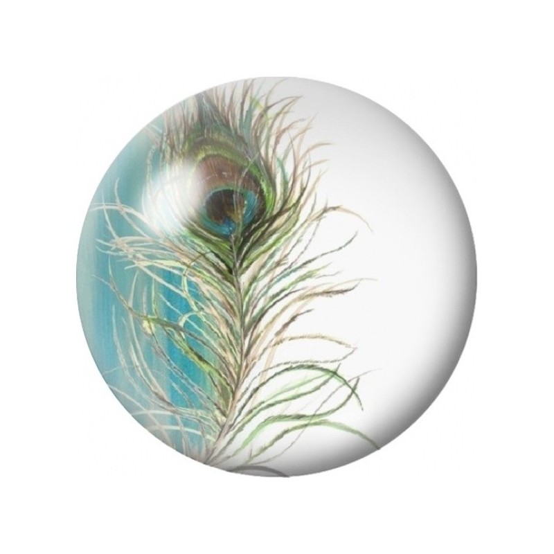 Cabochon en Verre Illustré Plume de Paon sur Fond Turquoise 12 à 25mm