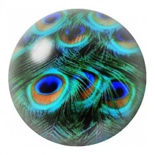 Cabochon en Verre Illustré Plumes de Paon en Gros Plan 12 à 25mm pour la Création de Bijoux Fantaisie - DIY