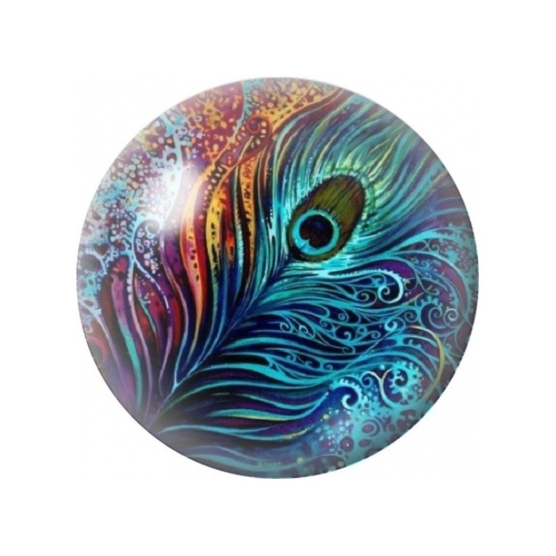 Cabochon en Verre Illustré Plume de Paon Fantaisie 12 à 25mm