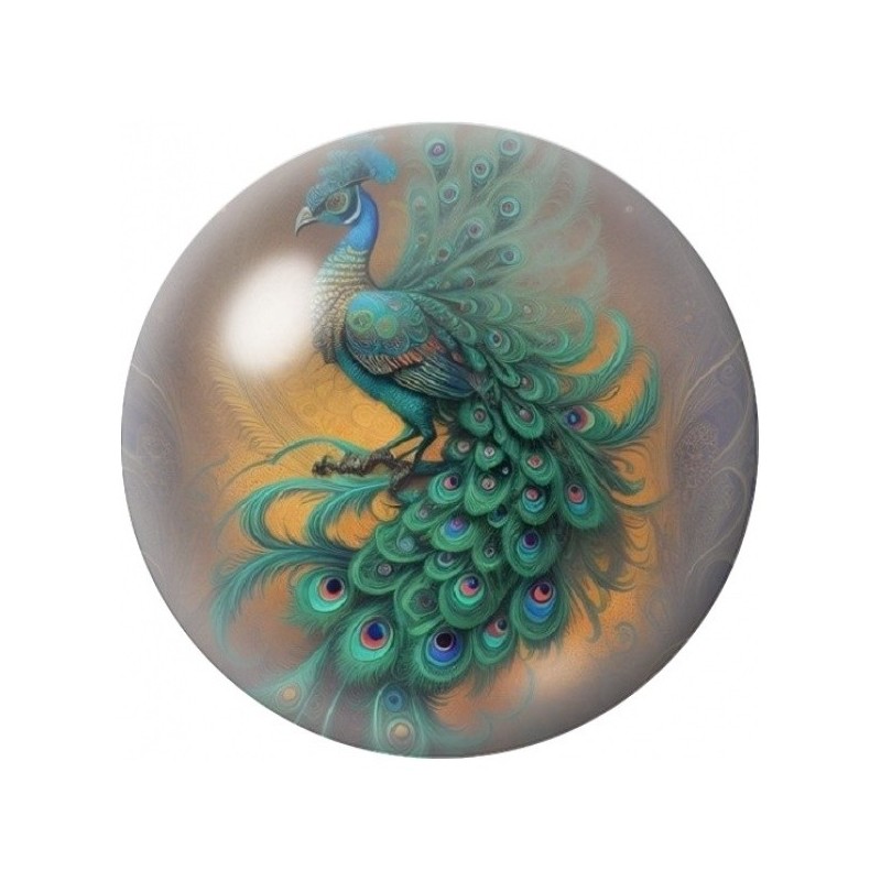 Cabochon en Verre Illustré Paon Ornemental Turquoise 12 à 25mm