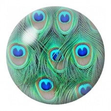 Cabochon en Verre Illustré Bouquet de Plumes de Paon 12 à 25mm pour la Création de Bijoux Fantaisie - DIY