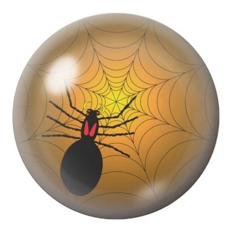Cabochon en Verre Illustré Araignée sur sa Toile 12 à 25mm