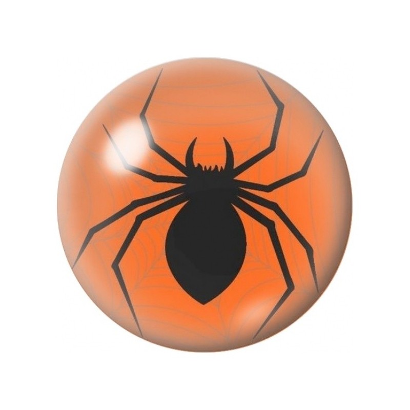 Cabochon en Verre Illustré Grande Araignée Noire 12 à 25mm
