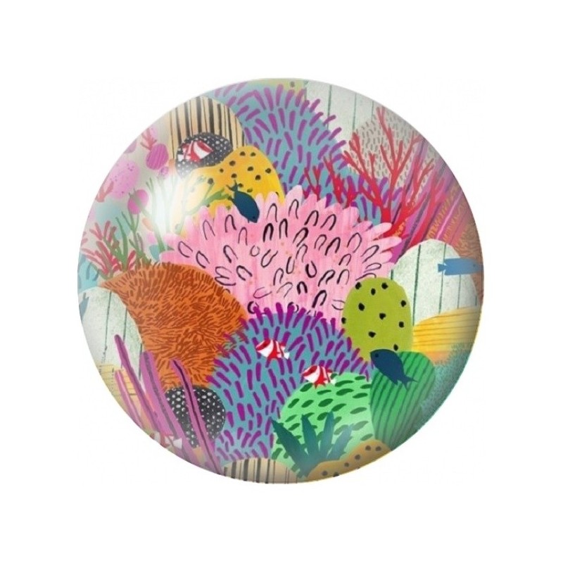 Cabochon en Verre Illustré Récif Marin aux Poissons Colorés 12 à 25mm