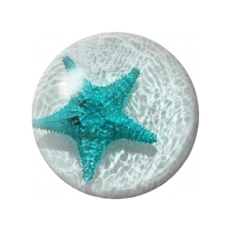 Cabochon en Verre Illustré Étoile de Mer Turquoise 12 à 25mm
