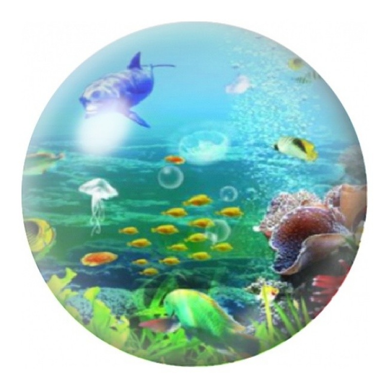 Cabochon en Verre Illustré Dauphin au-dessus du Récif 12 à 25mm