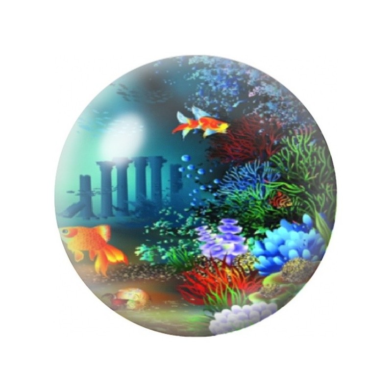 Cabochon en Verre Illustré Poissons au Récif Bleu 12 à 25mm