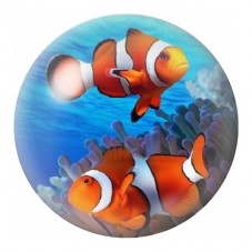 Cabochon en Verre Illustré Couple de Poissons-Clowns 12 à 25mm pour la Création de Bijoux Fantaisie - DIY